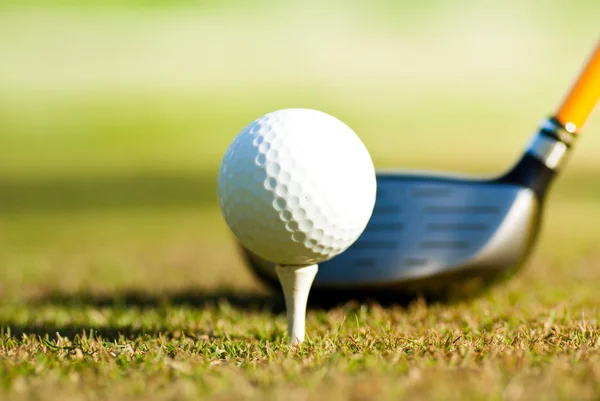 Golf ball on tee and driver behind — Stock Photo, Image