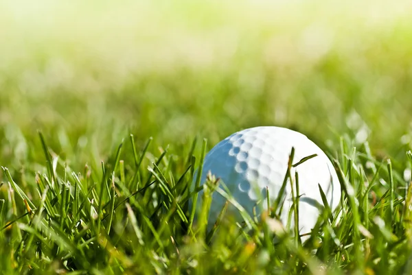 Μπάλα του γκολφ στο γρασίδι — Φωτογραφία Αρχείου