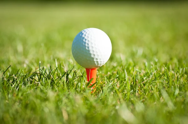 Close up of golf ball on a tee — Stock Photo, Image