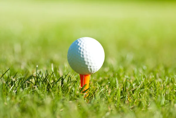 Close up of golf ball on a tee — Stock Photo, Image