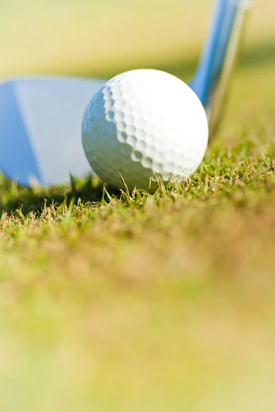 Golf club and ball in grass — Stock Photo, Image