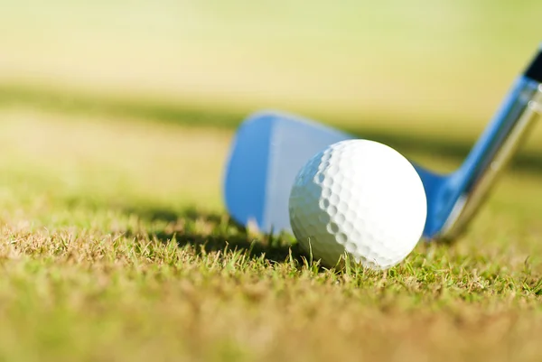 Гольф клуб і м'яч у траві — стокове фото