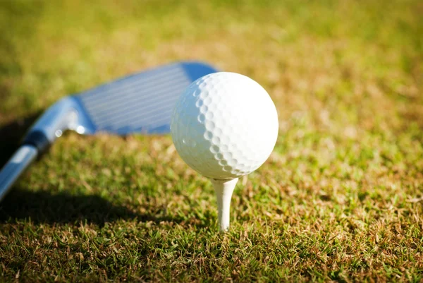 Golfklub és labda a fűben — Stock Fotó