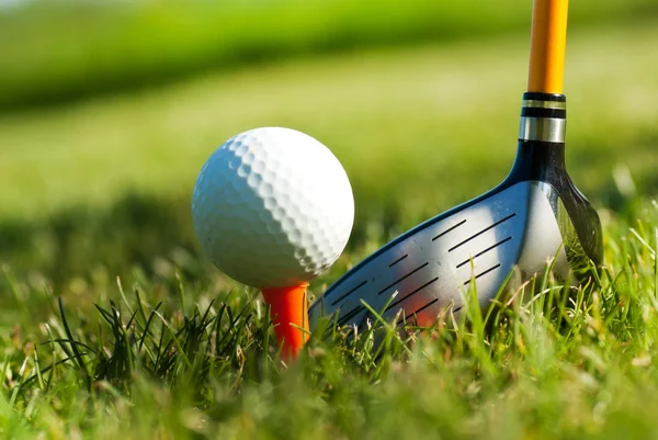 Blank drivrutin och golf boll på gräs — Stockfoto