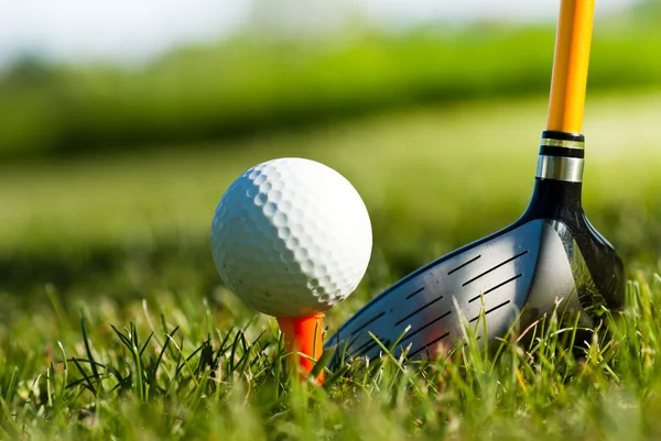 Błyszczący kierowcy i golf piłka na trawie — Zdjęcie stockowe