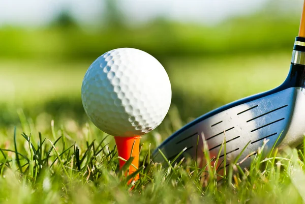 在草地上闪闪发亮的驱动程序和高尔夫球场球 — 图库照片