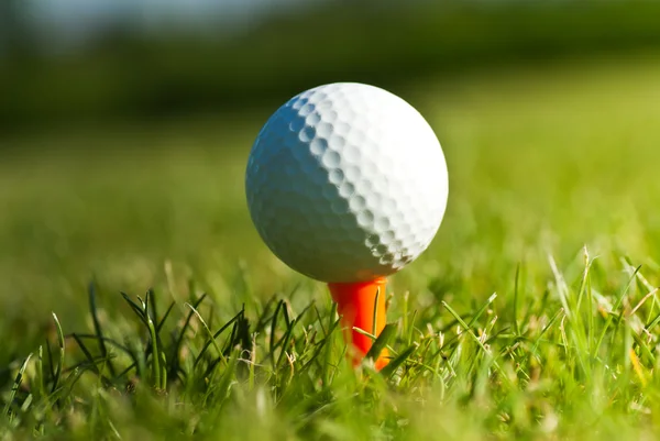 Golf ball on tee in draving range — Stock Photo, Image