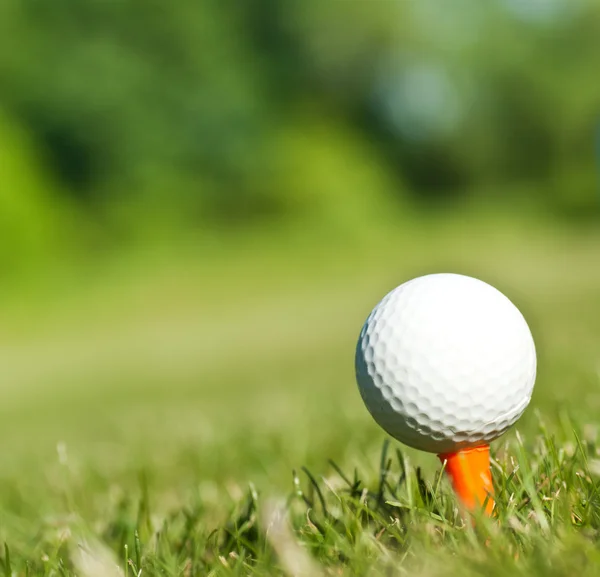 Golf labda a tee ajánlatuk tartományban — Stock Fotó