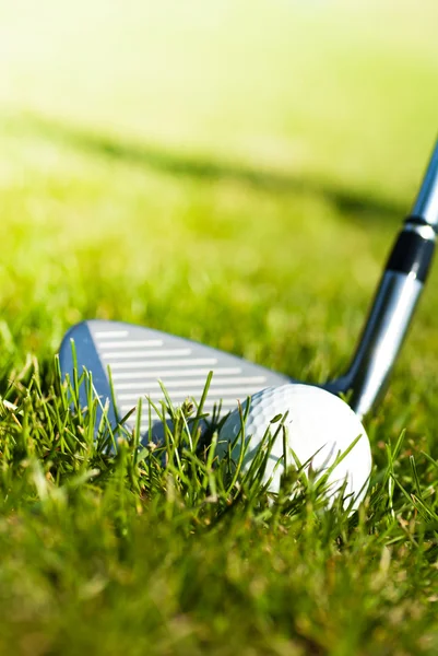 Conductor brillante y pelota de golf en la hierba — Foto de Stock