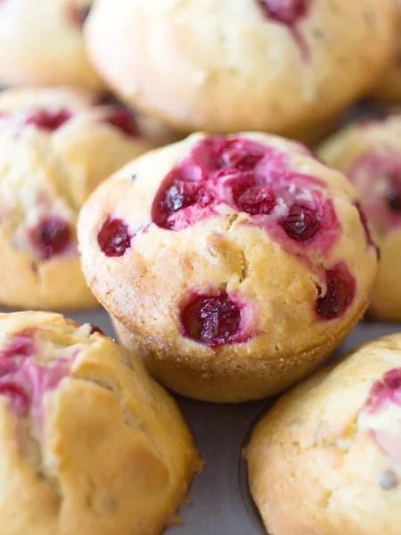 Muffin dolci — Foto Stock