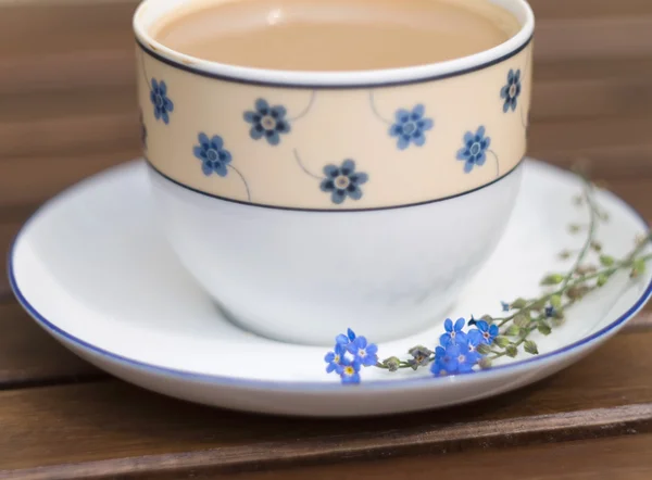 Forget-me-not and coffee — Stock Photo, Image