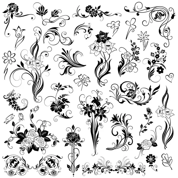 Conjunto de elementos florales vector — Archivo Imágenes Vectoriales