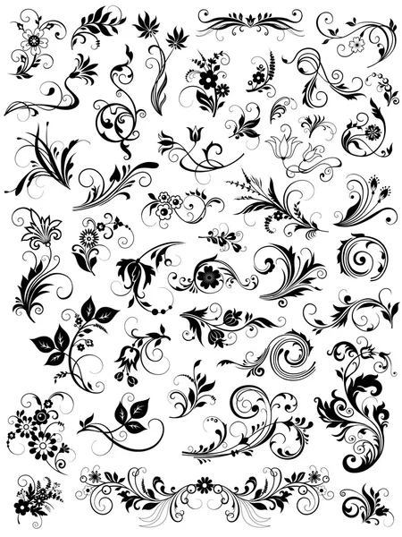 Elementi di disegno floreale calligrafico — Vettoriale Stock