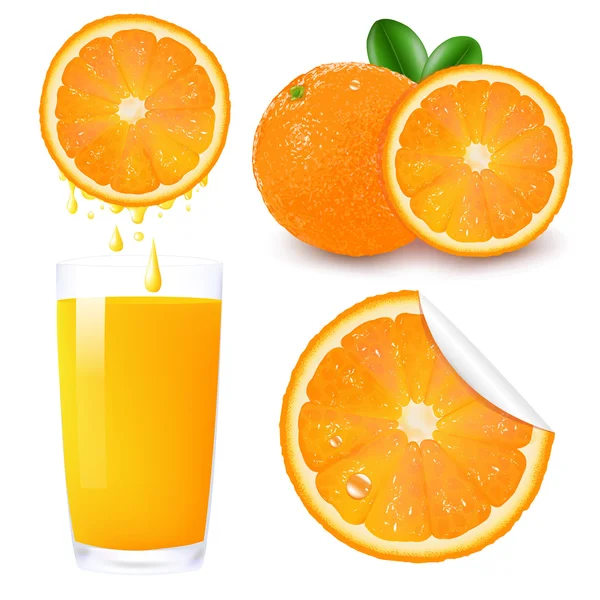 オレンジ色の果物セット — ストックベクタ