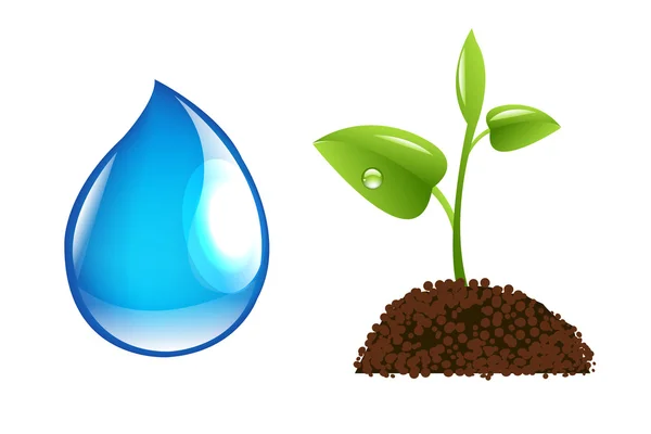 Water Drop And Sprout — Stock Vector
