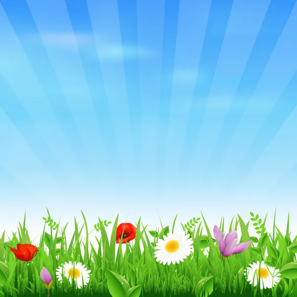 Sunburst Hintergrund mit Blume und Gras — Stockvektor
