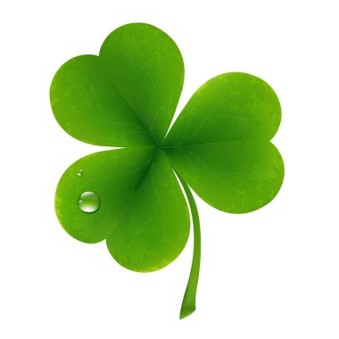 Clover Leaf clipart