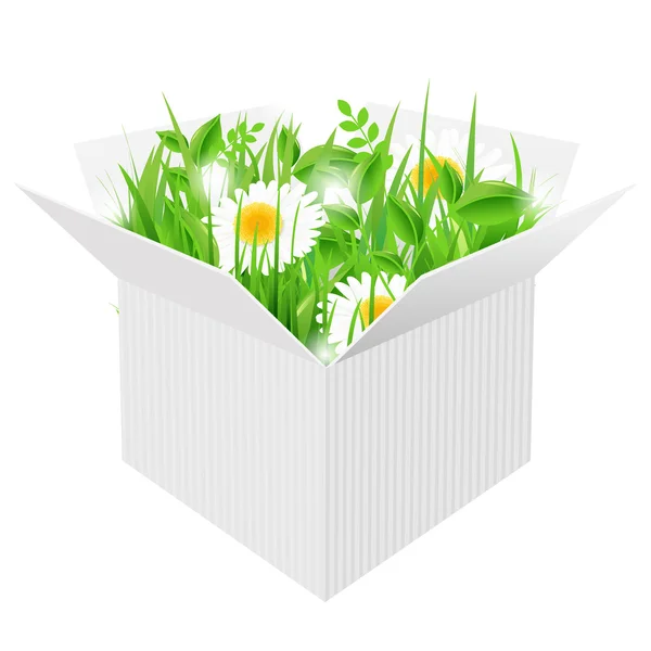 Boîte blanche avec herbe — Image vectorielle
