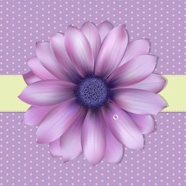 Fondo lila con Gerber — Archivo Imágenes Vectoriales