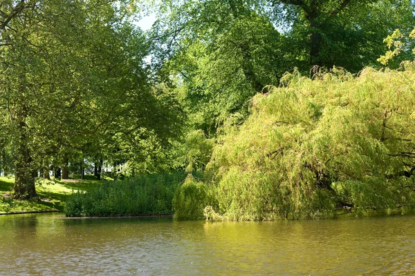 Vijver in het park in rotterdam — Stockfoto