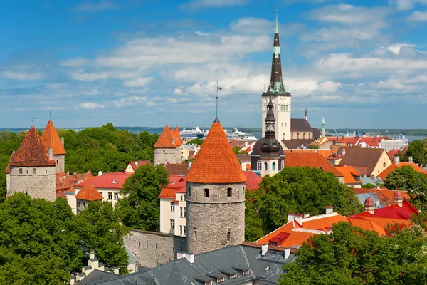 Старый город Таллин летом — стоковое фото
