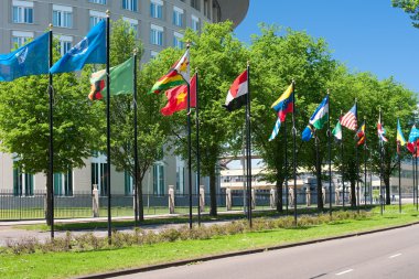 Avenue of flags in Hague clipart