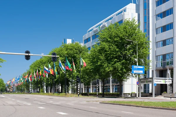 Avenue of flags in Hague, Netherlands — Stock Photo, Image