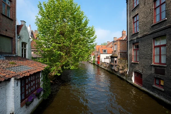 Excelente vista em um canal em Brugge — Fotografia de Stock