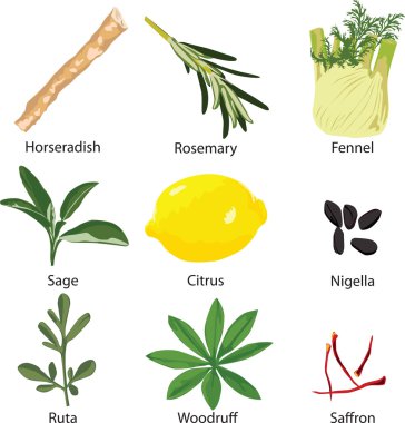Set of different spices clipart