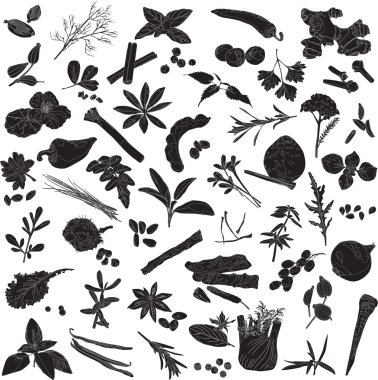 Silhouettes of many spices clipart
