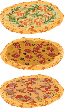 A set of different pizzas clipart