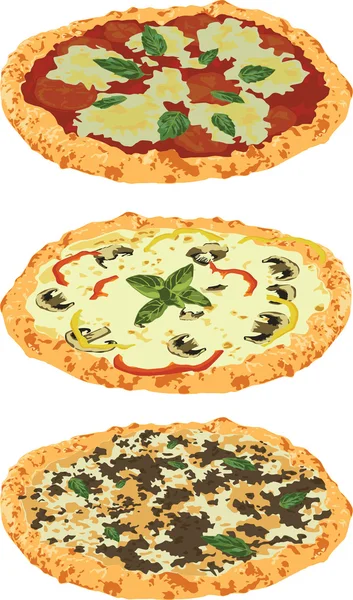 bir dizi farklı pizza