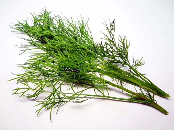 Two sprigs of dill on a white background — Stock Photo, Image