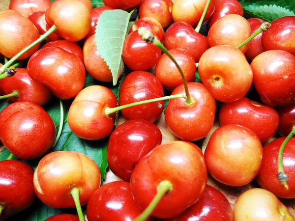 Many bright ripe cherries — Stock Photo, Image