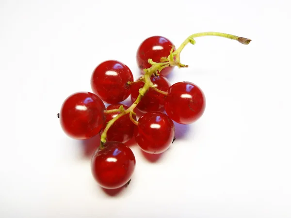The berry of porichka — Stock Photo, Image