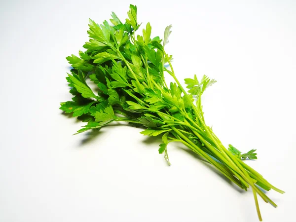 Greenery of parsley — Stock Photo, Image