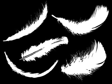 siyah zemin üzerine beyaz tüyler kümesi