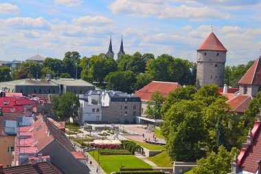 küçük parkta yaşlı tallinn