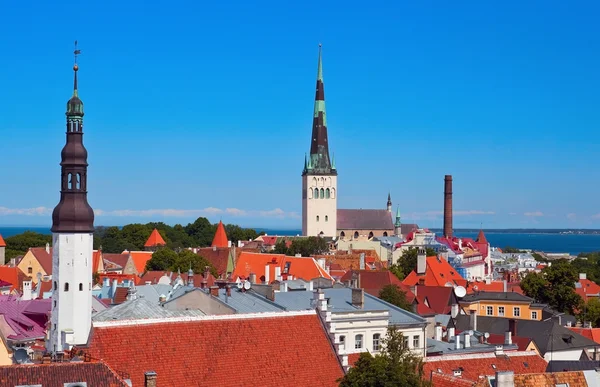 Tallinn city — Stock Photo, Image