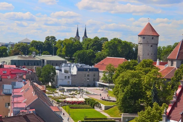 Small park in old Tallinn — Stock Photo, Image