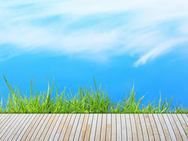 Zelené trávě s dřevěné molo nad modrá obloha — Stock fotografie
