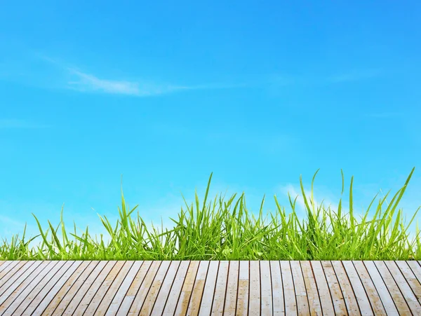 Groen gras met houten pier over blauwe hemel — Stockfoto