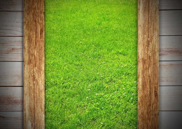 Meadow in window — Stock Photo, Image