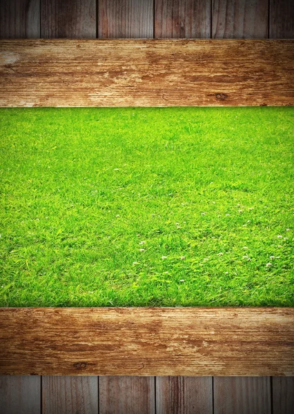 ウィンドウの草原 — ストック写真
