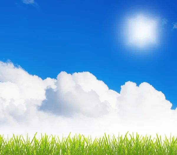 Grass over cloudy sky — Stock Photo, Image