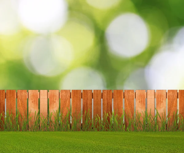 Erba verde in giardino con recinzione vicino al muro di mattoni — Foto Stock