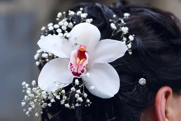 Цветок в волосах невесты — стоковое фото
