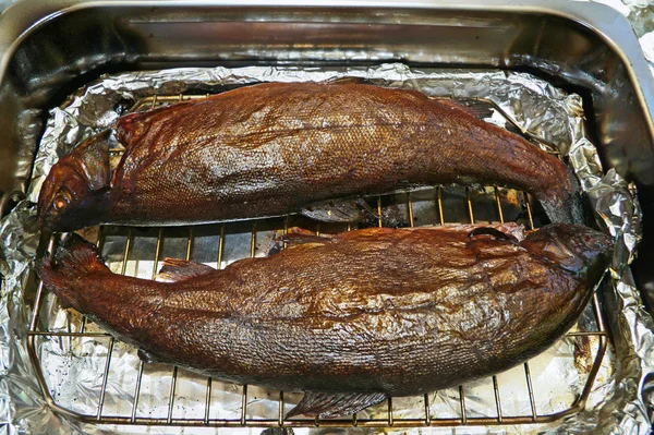 Smoked fish in smoker — Stock Photo, Image