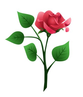 Vector illustration of red rose with stem