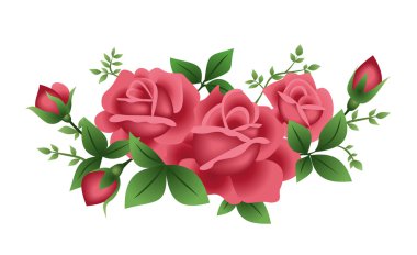 Vector illustration of three red roses